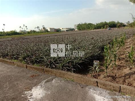 農地古坑劍湖山旁旺來農地雲林縣古坑鄉永興段 樂屋網 土地買賣