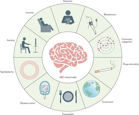 Htw On Twitter Brain Health In Ageing Https Sciencedirect