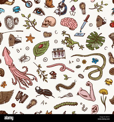 Science Seamless Pattern Scientific Laboratory In Biology Icon Set Of