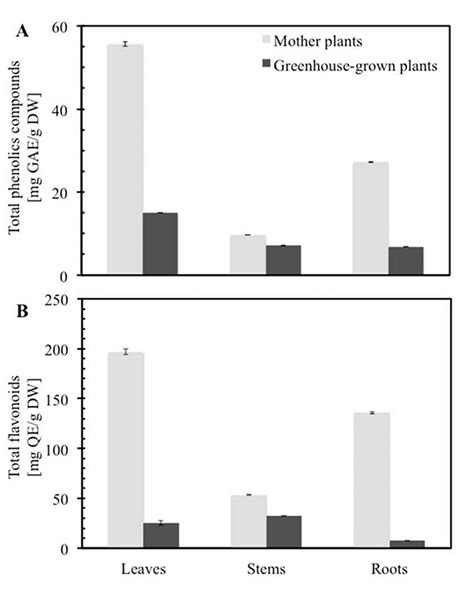 Total Phenolic Compounds And Flavonoids Contents In Different Tissues