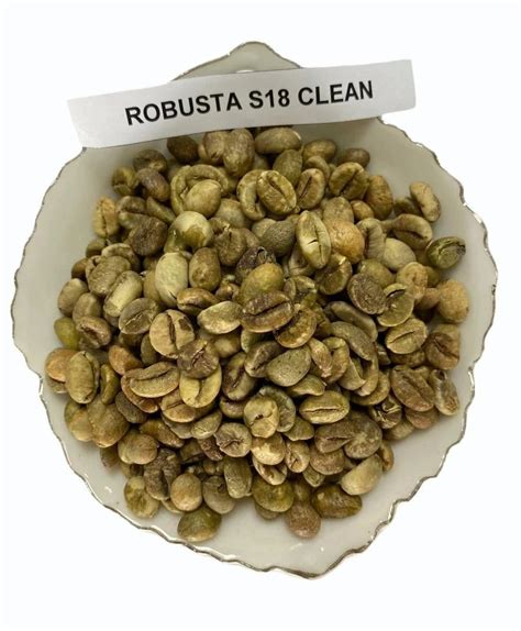 Hotsale Vietnam Clean Robusta Coffee Green Beans S18 At Rs 278 Kg