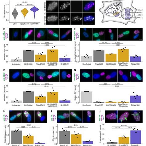 Dual Perturb Seq Transcriptional Profiles Recapitulate Phenotypes Of