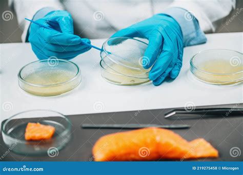 Microbiological Quality Assessment Testing Salmon Fish Sample Stock