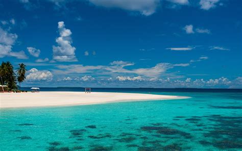 Download Horizon Nature Palm Tree Maldives Turquoise Blue Sea Ocean