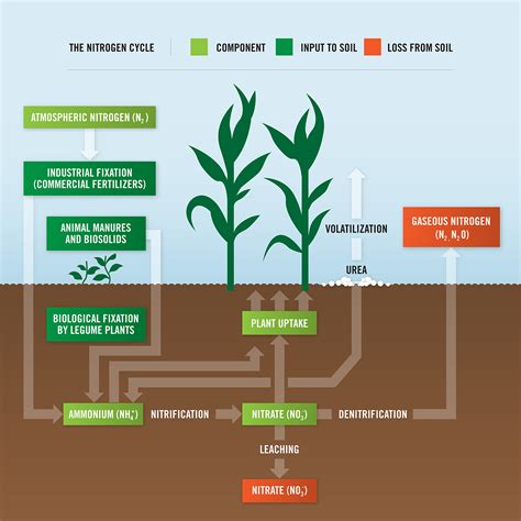 Koch Agronomic Services