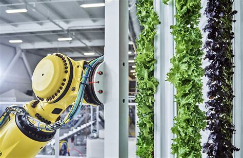 Walmart Investe Nel Vertical Farming Food