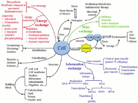 Microbiology Concept Map