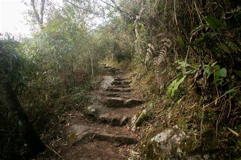 Caminata Hacia La Ciudad De Machu Picchu Por El Camino Inca Escalera