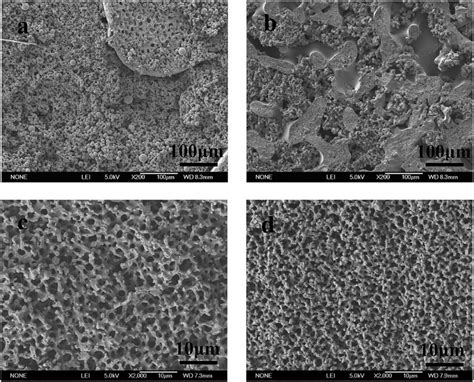 SEM photographs of epoxy monoliths by different molecular weight of... | Download Scientific Diagram