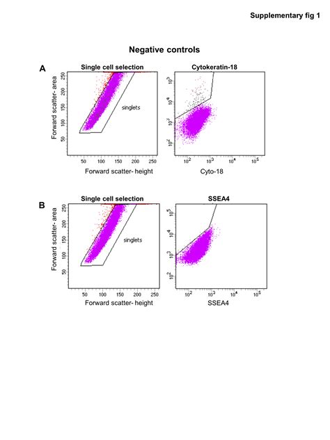 Phenotypic And Functional Characterization Of Müller Glia Isolated From