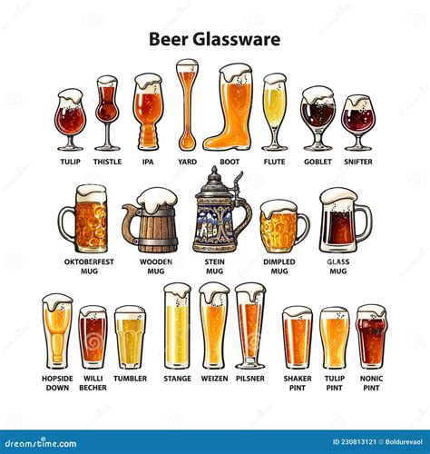 Set Of Different Types Of Beer Glasses And Mugs Beer Glassware Guide Vector Illustration