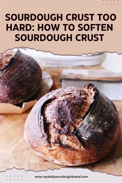 Sourdough Crust Too Hard How To Soften Sourdough Crust My Daily