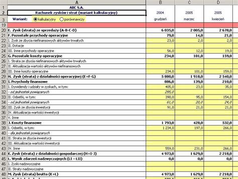 Program Analiza Finansowa E Bizcom Programy I Ebooki Finansowe