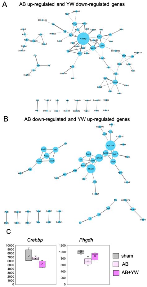 Protein Protein Interaction Ppi Network Analysis Of Genes For Which