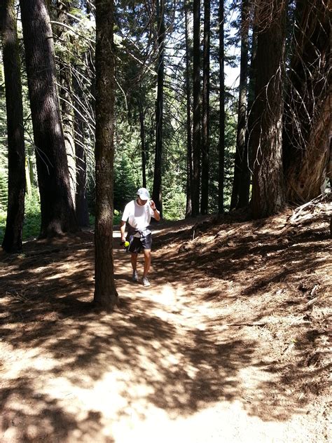 elevation  lindsay ca usa topographic map altitude map