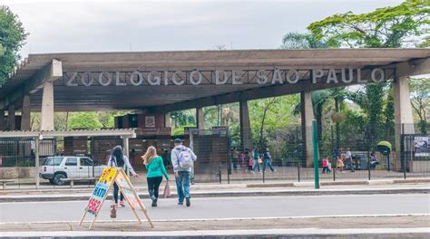 Fundação Parque Zoológico De São Paulo Sãopaulo Sp Around The