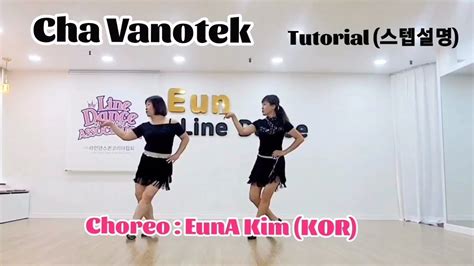 Cha Vanotek 차 바노텍 Tutorial Easy Intermediate Line Dance 차 스텝설명