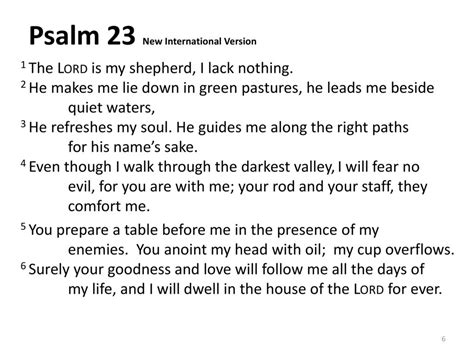 Psalm 23 Niv
