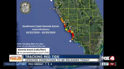 Expecting New Red Tide Maps On Friday