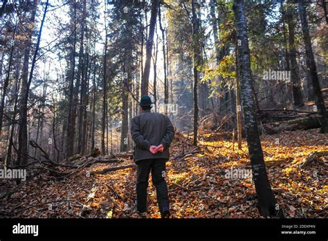 Romanian Forest Ranger Inside A Pine And Broadleaf Forest Stock Photo