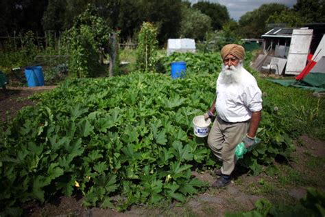 7 Shade Loving Vegetables To Plant If Your Yard Has Limited Exposure To