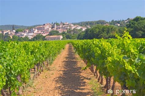 Adesivo Vigneto In Provenza Francia PIXERS IT