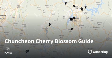 Chuncheon Cherry Blossom Guide – Wanderlog