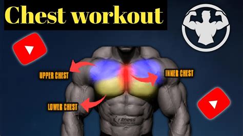 Grow Your Chest At Home 💪 Home Workout 🔥 Bodybuilding Gymmotivation Youtube Youtube