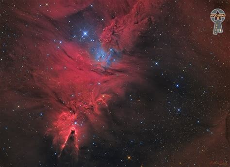 Red Fox Fur Nebula