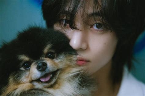 Bts V Ravishing In Layover Concept Images Kpopstarz