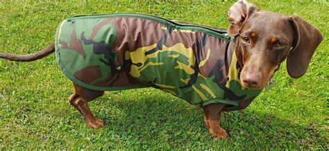 Waterproof Dog Coats Handmade In The Uk Doggie Coats