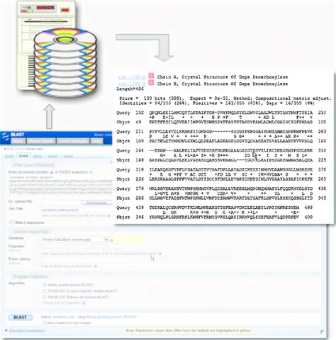 With The Blast Basic Local Alignment Search Tool Software The Pdb Is