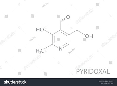 Pyridoxal Molecular Skeletal Chemical Formula Stock Vector Royalty