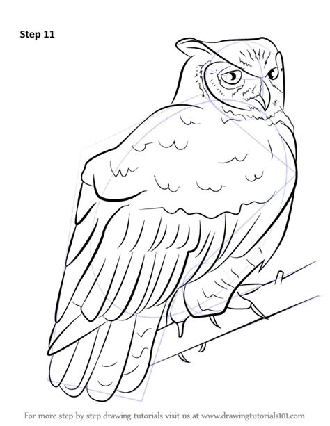 Learn How To Draw A Great Horned Owl Owls Step By Step Drawing