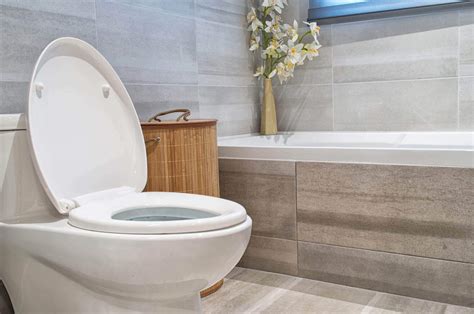 Toilet Buying Guide What Toilet Is Best For Your Home Or Business