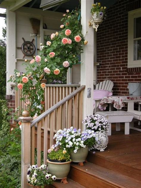 21 Colorful Outdoor Plants For Patio And Porch Balcony Garden Web