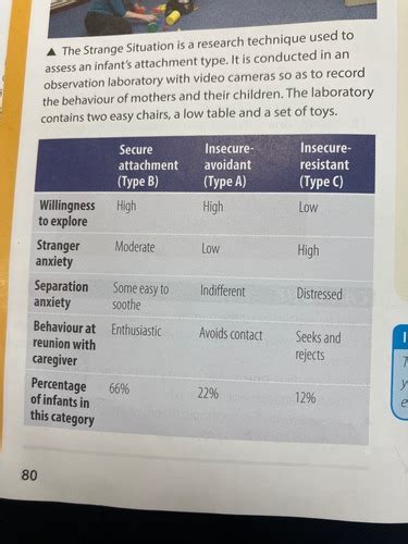 Ainsworths Strange Situation Types Of Attachment Flashcards Quizlet