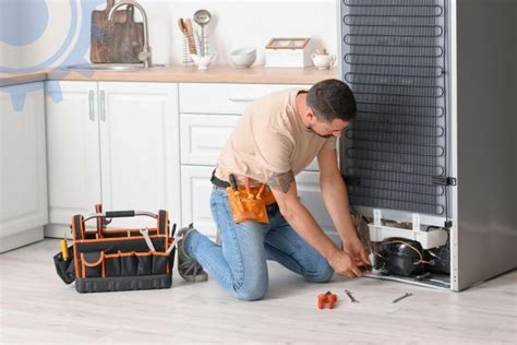 Avanti Fridge Repair Expert Fridge Fix