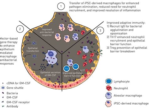 Can Animal Models Really Teach Us Anything About Pneumonia Pro