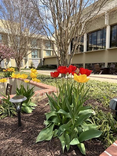 Washington Dulles Airport Marriott | Dulles VA