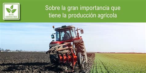 Sobre La Gran Importancia Que Tiene La Producción Agrícola