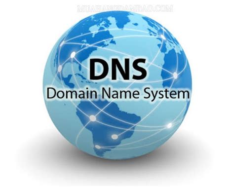 Dns Là Gì Tổng Quan Về Dns Bạn Nên Biết Mua Hàng đảm Bảo