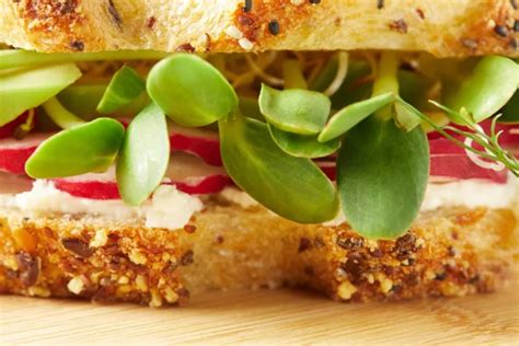 15 Healthy Sandwiches To Enjoy Daily For Effective Weight Loss