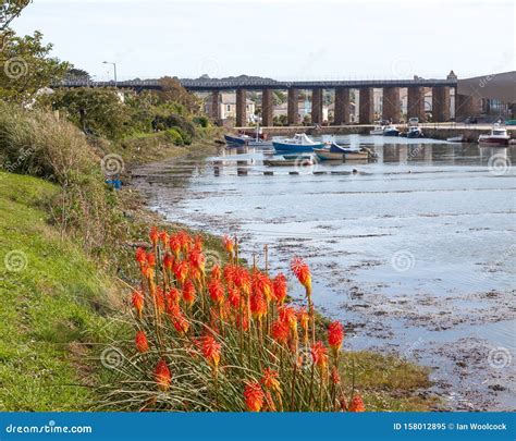 Hayle Harbour Cornwall England Stock Image - Image of cornwall ...