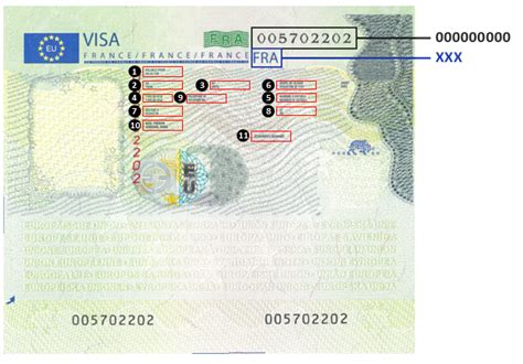 Ue Vers La Num Risation Des Proc Dures Du Visa Schengen Nouvelles