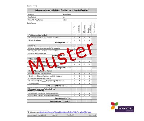 Formular Ambulant Sturz Sturzprotokoll Murimed Shop