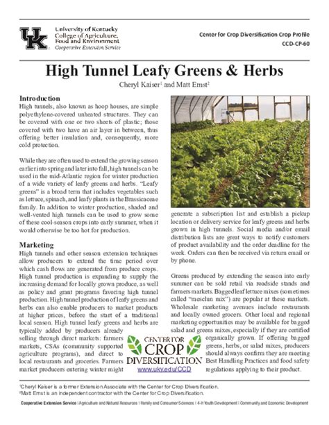 High Tunnel Leafy Greens And Herbs Extension Publications