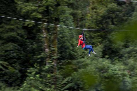 Rotorua: Ultimate Zipline Forest Canopy Tour | GetYourGuide