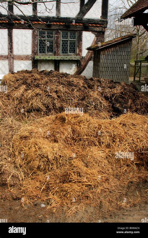 Pile Of Manure High Resolution Stock Photography And Images Alamy