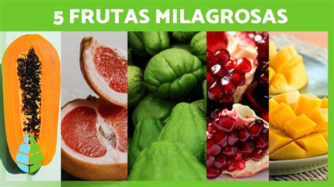 5 Frutas Medicinales Que Debes Incluir En Tu Dieta 🥭 ¡aprovecha Sus